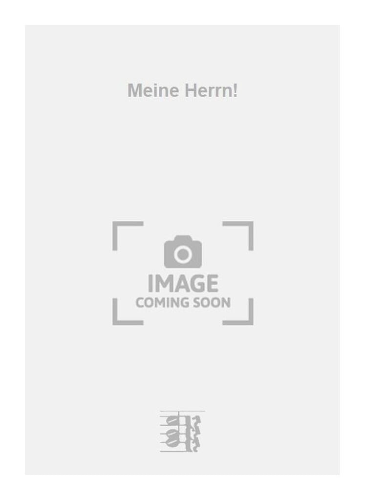 Meine Herrn!